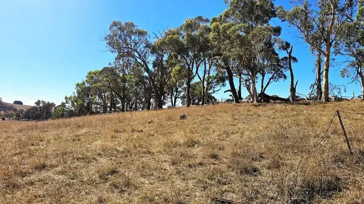Sixth view of Homely rural property listing, 70 Sunset Hills Road, Neville NSW 2799