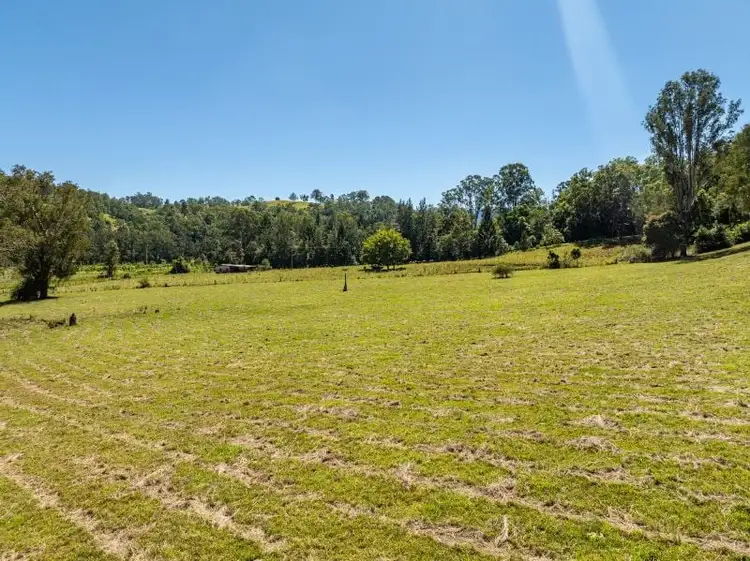 Sixth view of Homely land listing, 114 Williams Road, Wadeville NSW 2474