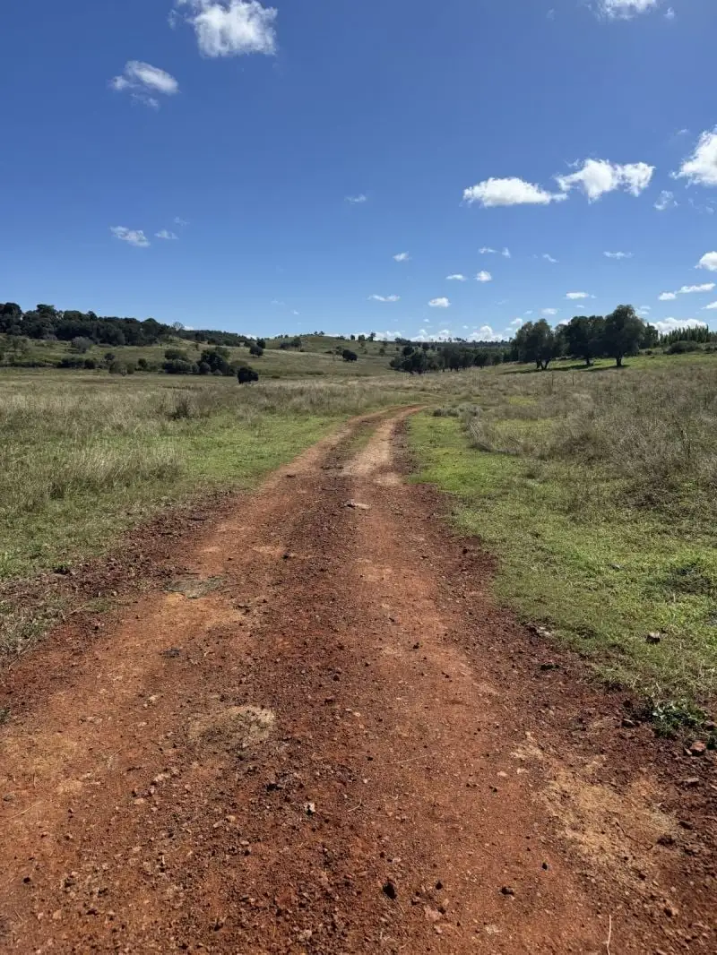 Main view of Homely rural property listing, 257 Basin Road, Kinleymore QLD 4613