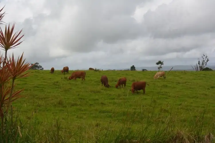 Third view of Homely land listing, 5387B Palmerston Highway, Millaa Millaa QLD 4886