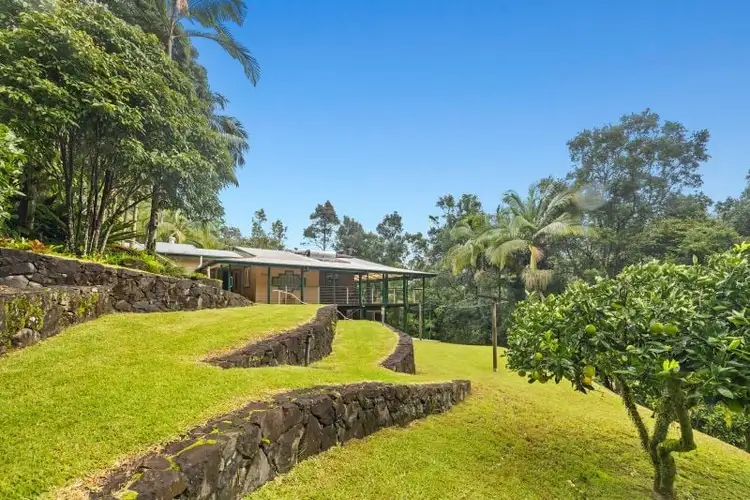Second view of Homely rural property listing, 675 Terania Creek Road, The Channon NSW 2480