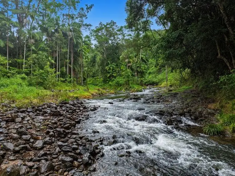 Fourth view of Homely rural property listing, 675 Terania Creek Road, The Channon NSW 2480