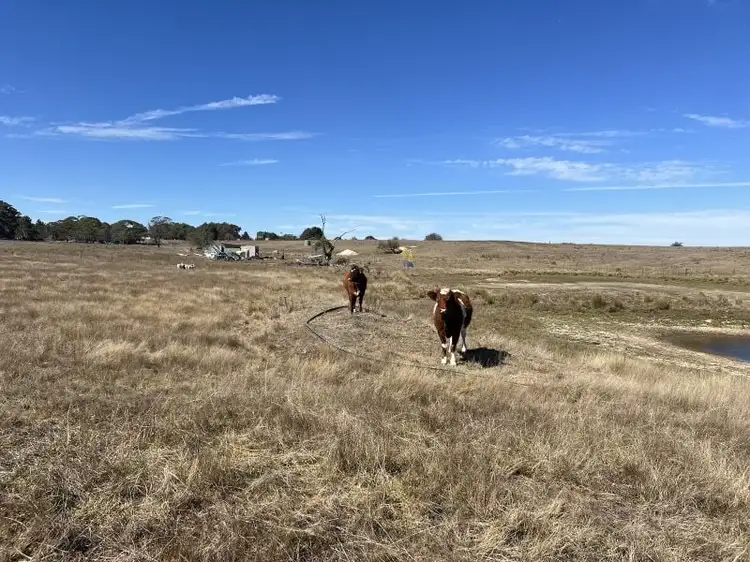 Second view of Homely rural property listing, 2101 Woodhouselee Road, Laggan NSW 2583