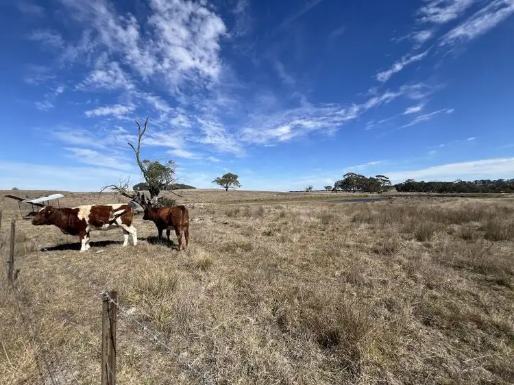 Fourth view of Homely rural property listing, 2101 Woodhouselee Road, Laggan NSW 2583