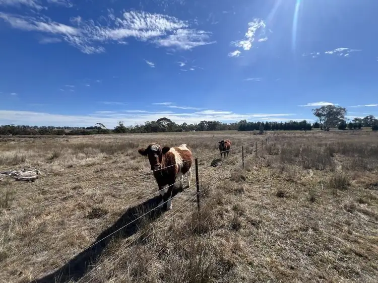 Seventh view of Homely rural property listing, 2101 Woodhouselee Road, Laggan NSW 2583