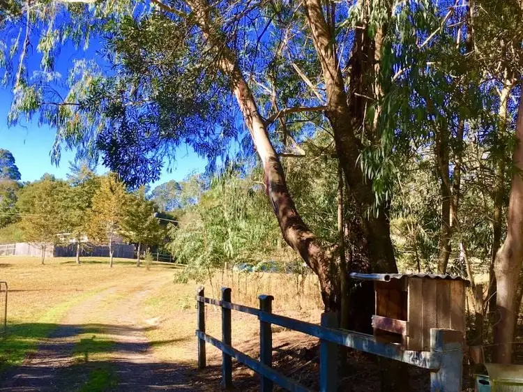 Fifth view of Homely rural property listing, 259 Lower Bobo Road, Ulong NSW 2450