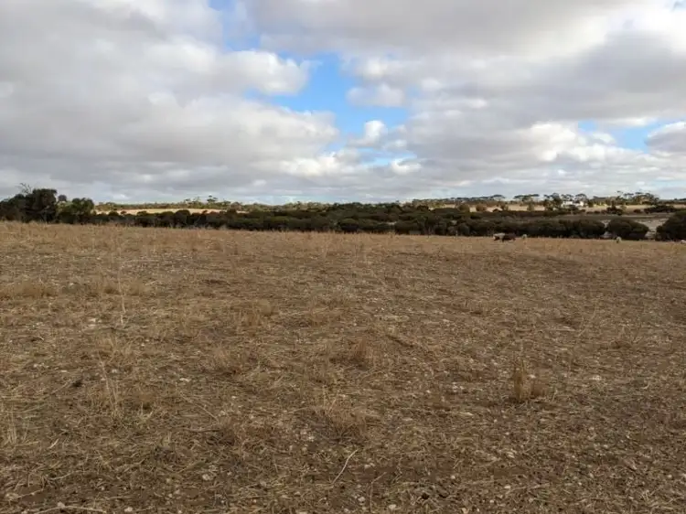Lot 125 Lake View Road, Minlaton SA 5575