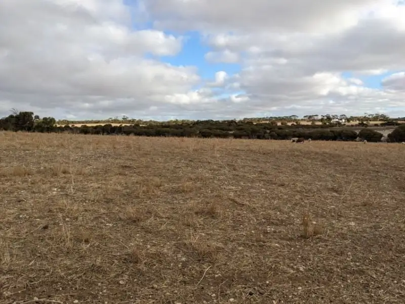 Main view of Homely land listing, Lot 125 Lake View Road, Minlaton SA 5575