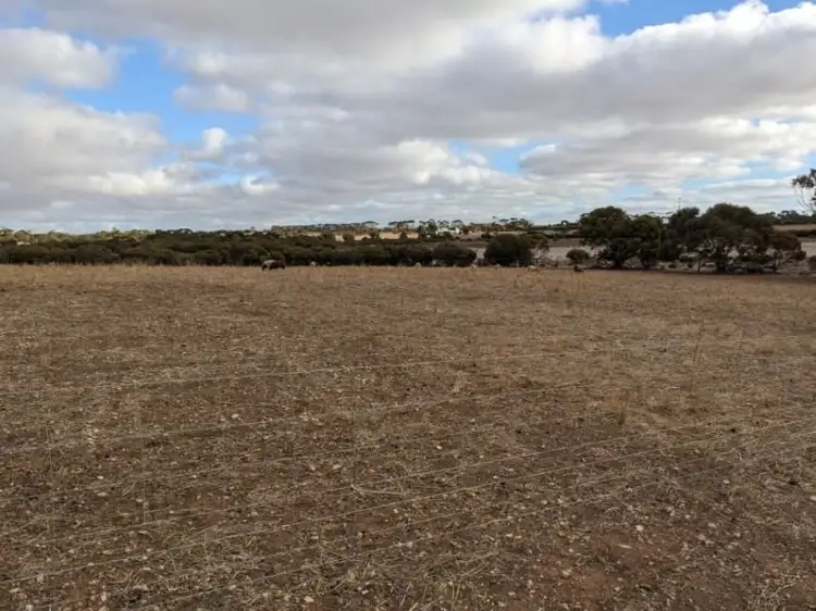 Fifth view of Homely land listing, Lot 125 Lake View Road, Minlaton SA 5575