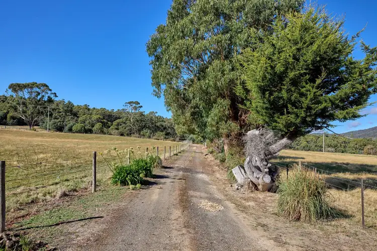 Second view of Homely house listing, 1590 Liffey Road, Liffey TAS 7301