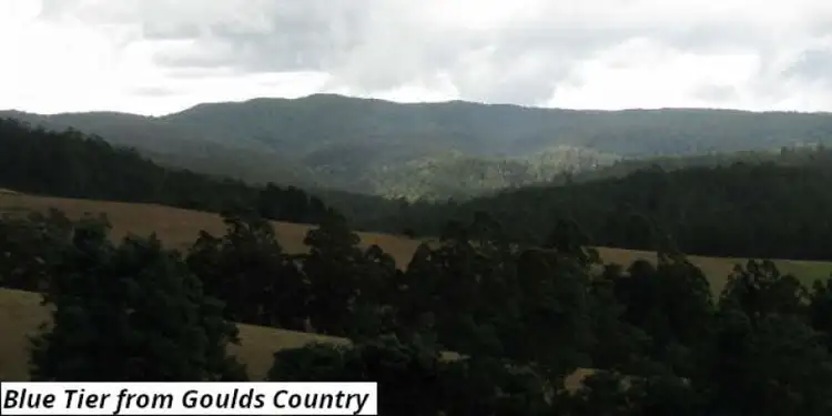 Main view of Homely land listing, 755 Lottah Road, Lottah TAS 7216