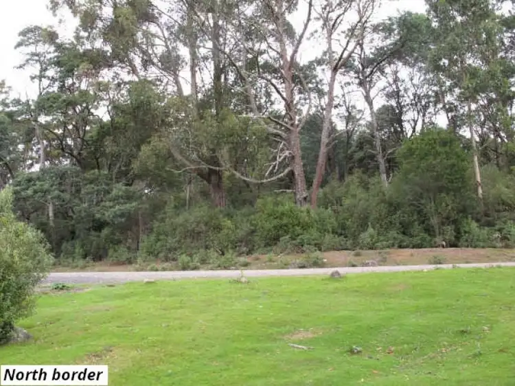Third view of Homely land listing, 755 Lottah Road, Lottah TAS 7216