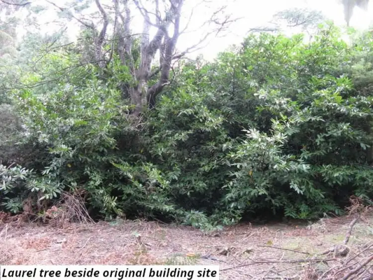 Fourth view of Homely land listing, 755 Lottah Road, Lottah TAS 7216