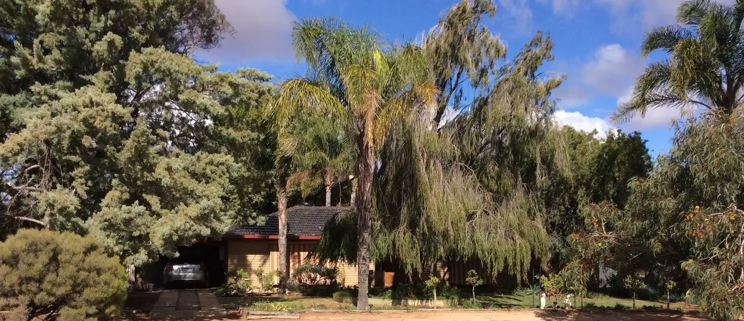 Main view of Homely house listing, 29 Richardson Street, Walpeup VIC 3507