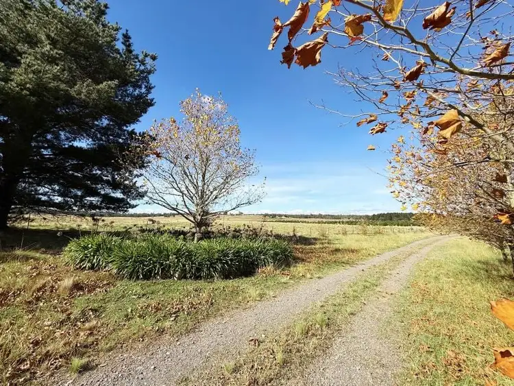 Fourth view of Homely rural property listing, 589 Jacqua Road, Windellama NSW 2580