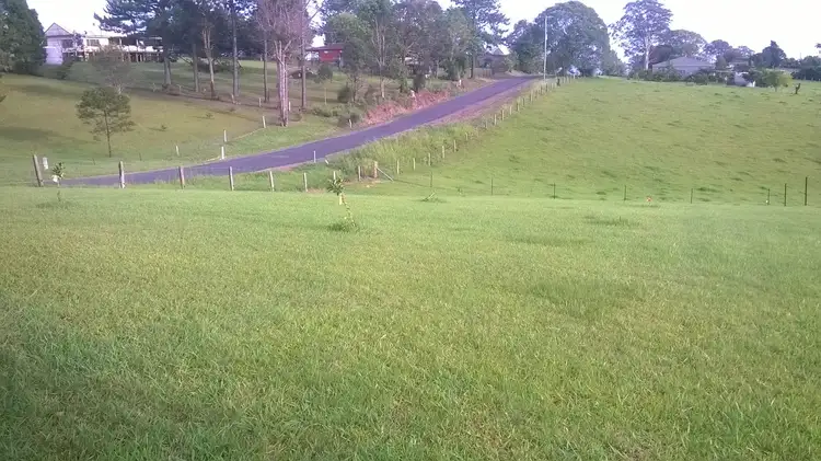 Fifth view of Homely rural property listing, 33 O'Dells Road, Donnellyville NSW 2447