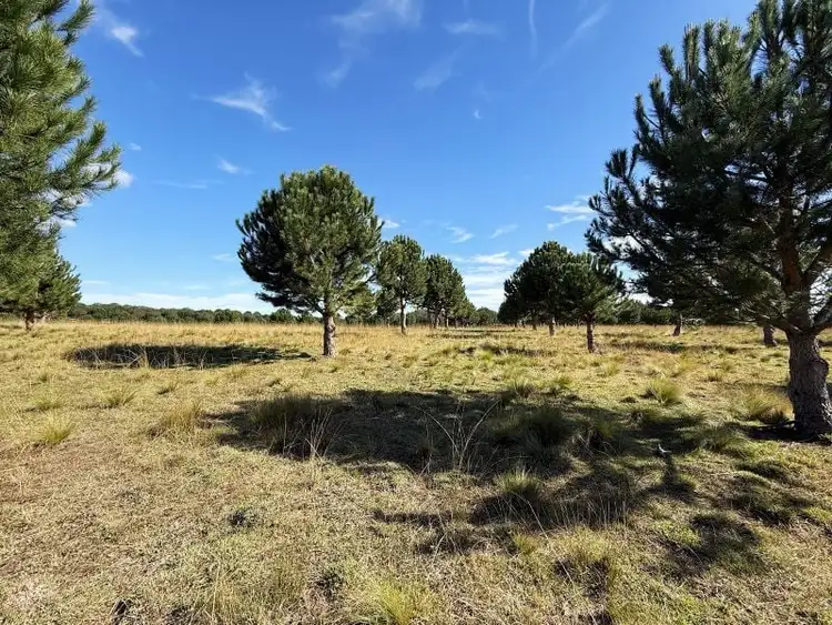 Fifth view of Homely rural property listing, 609 Jacqua Road, Windellama NSW 2580