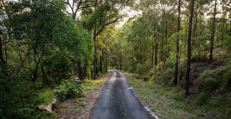 Sixth view of Homely rural property listing, 94 Holyrood Road, Maudsland QLD 4210
