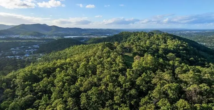 Seventh view of Homely rural property listing, 94 Holyrood Road, Maudsland QLD 4210