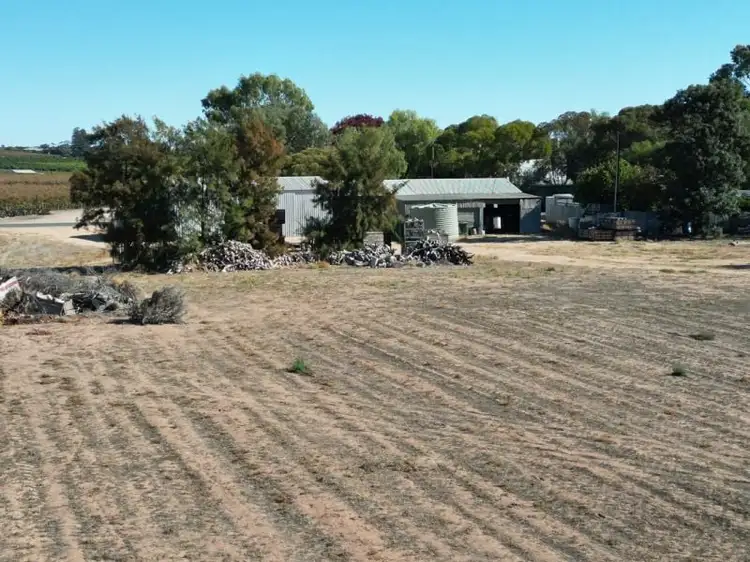 Second view of Homely land listing, 7 The Avenue, Waikerie SA 5330