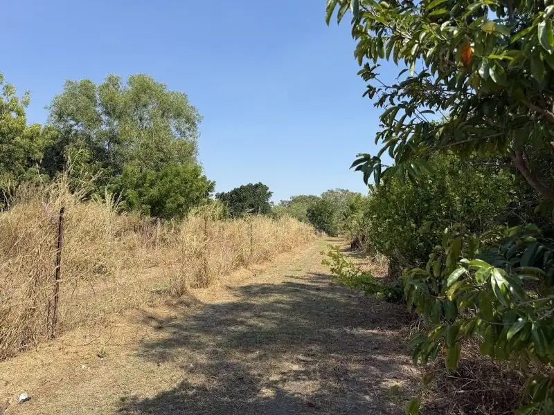 Main view of Homely rural property listing, 61 Jefferis Road, Humpty Doo NT 836