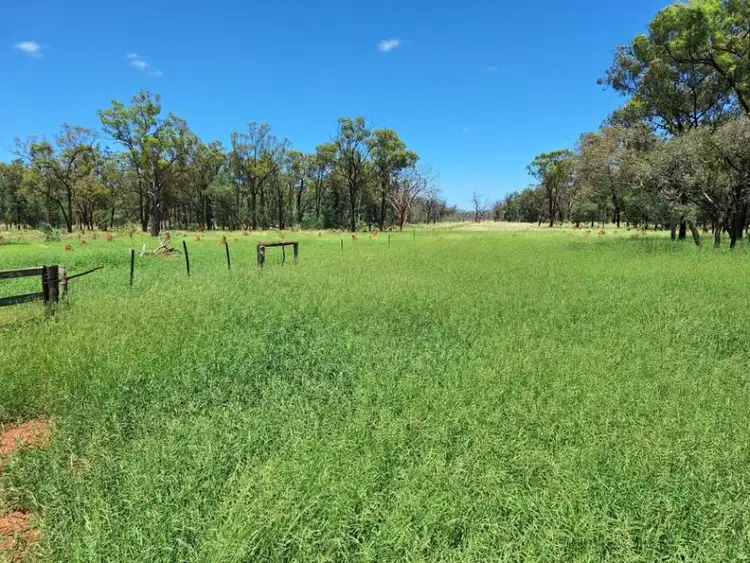 Third view of Homely rural property listing, 6743 Dunrobin Road, Jericho QLD 4728
