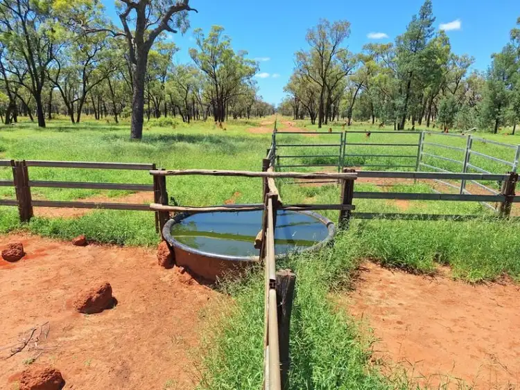 Fifth view of Homely rural property listing, 6743 Dunrobin Road, Jericho QLD 4728
