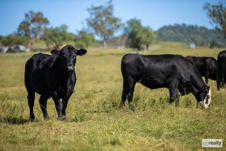 244 Sheep Station Creek Road, Bingara NSW 2404