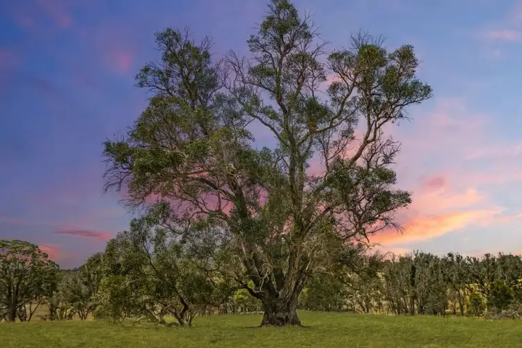 Third view of Homely land listing, 78 Ridge View Avenue, Boyup Brook WA 6244