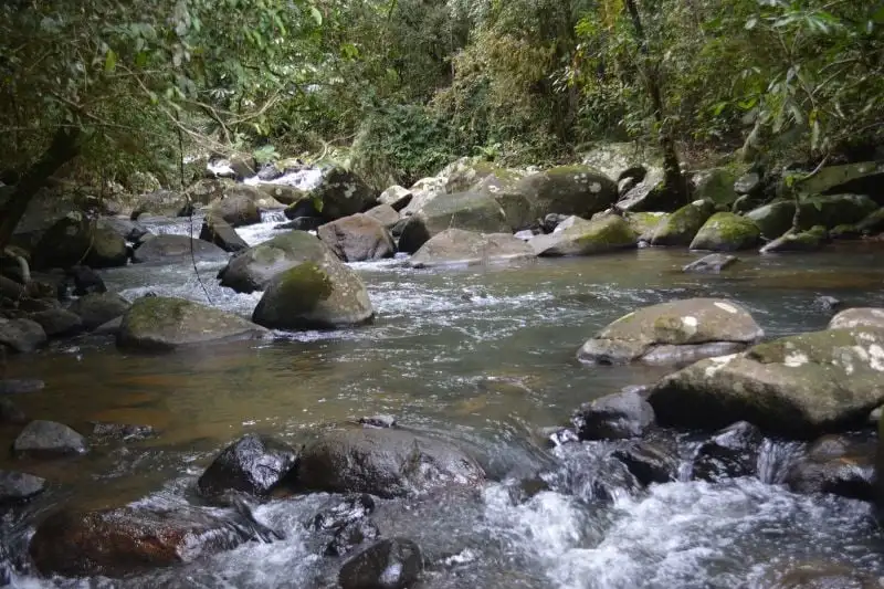 Main view of Homely other listing, 911 Middlebrook Road, Middlebrook QLD 4886