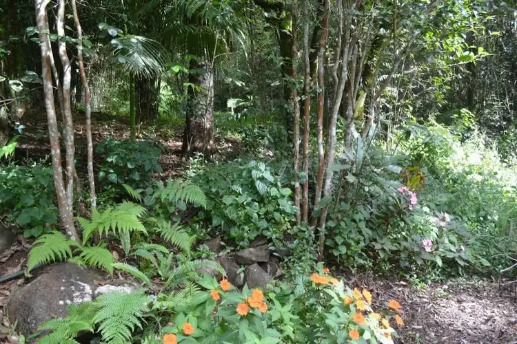 Fifth view of Homely other listing, 911 Middlebrook Road, Middlebrook QLD 4886