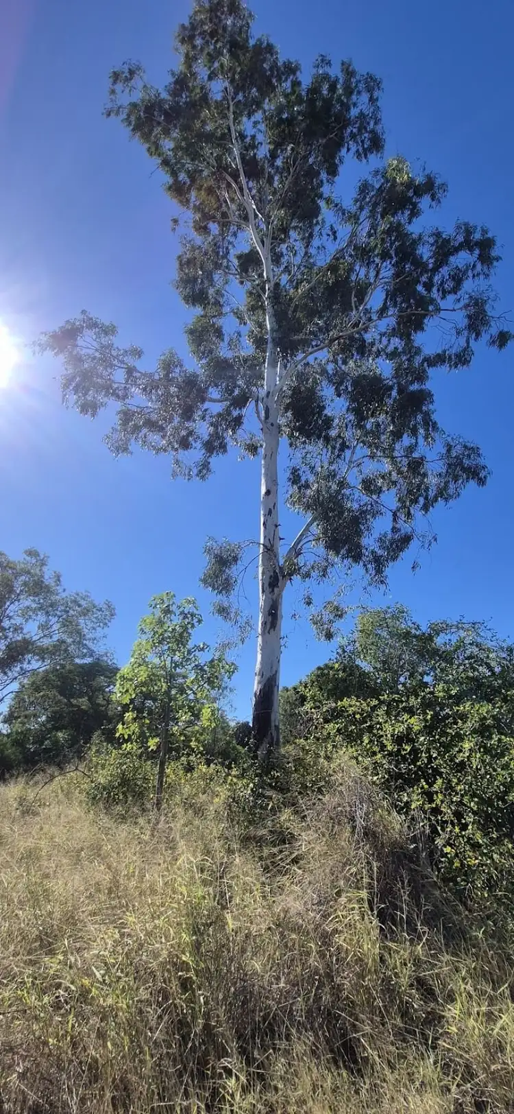 Fifth view of Homely land listing, 20 Morgan Street, Baralaba QLD 4702