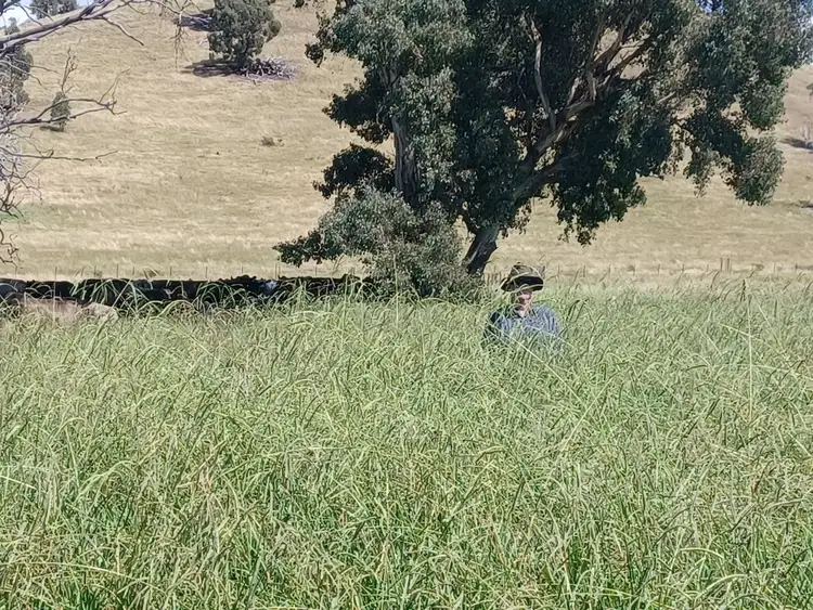 Second view of Homely rural property listing, 3924 Hume Highway, Tarcutta NSW 2652