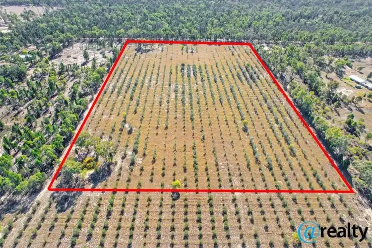 Lot 49 Wombinebong Drive