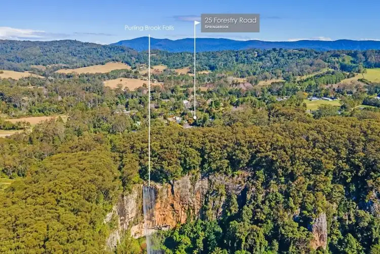 Fifth view of Homely house listing, 25 Forestry Road, Springbrook QLD 4213