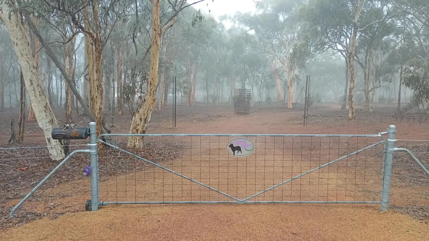 Main view of Homely house listing, 59 Red Gum Circle, Coondle WA 6566