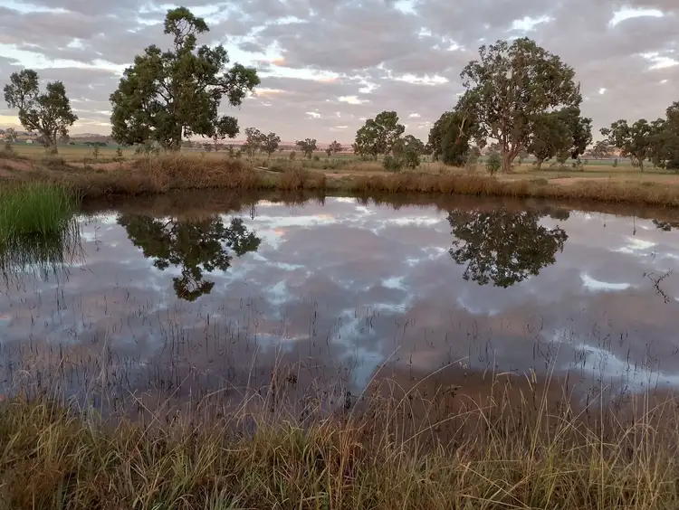14317 Golden Highway, Leadville NSW 2844