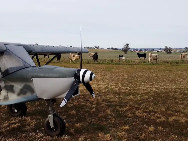 Third view of Homely rural property listing, 14317 Golden Highway, Dunedoo NSW 2844