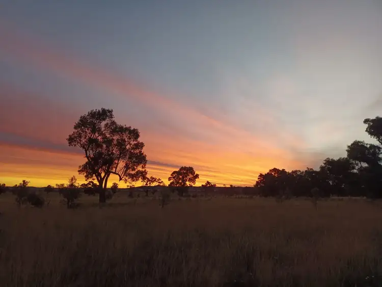 Fourth view of Homely rural property listing, 14317 Golden Highway, Dunedoo NSW 2844