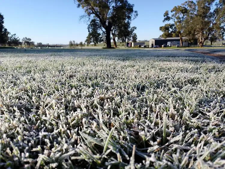 Sixth view of Homely rural property listing, 14317 Golden Highway, Dunedoo NSW 2844