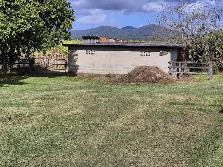 Fifth view of Homely house listing, 98 Tweed Valley Way, South Murwillumbah NSW 2484