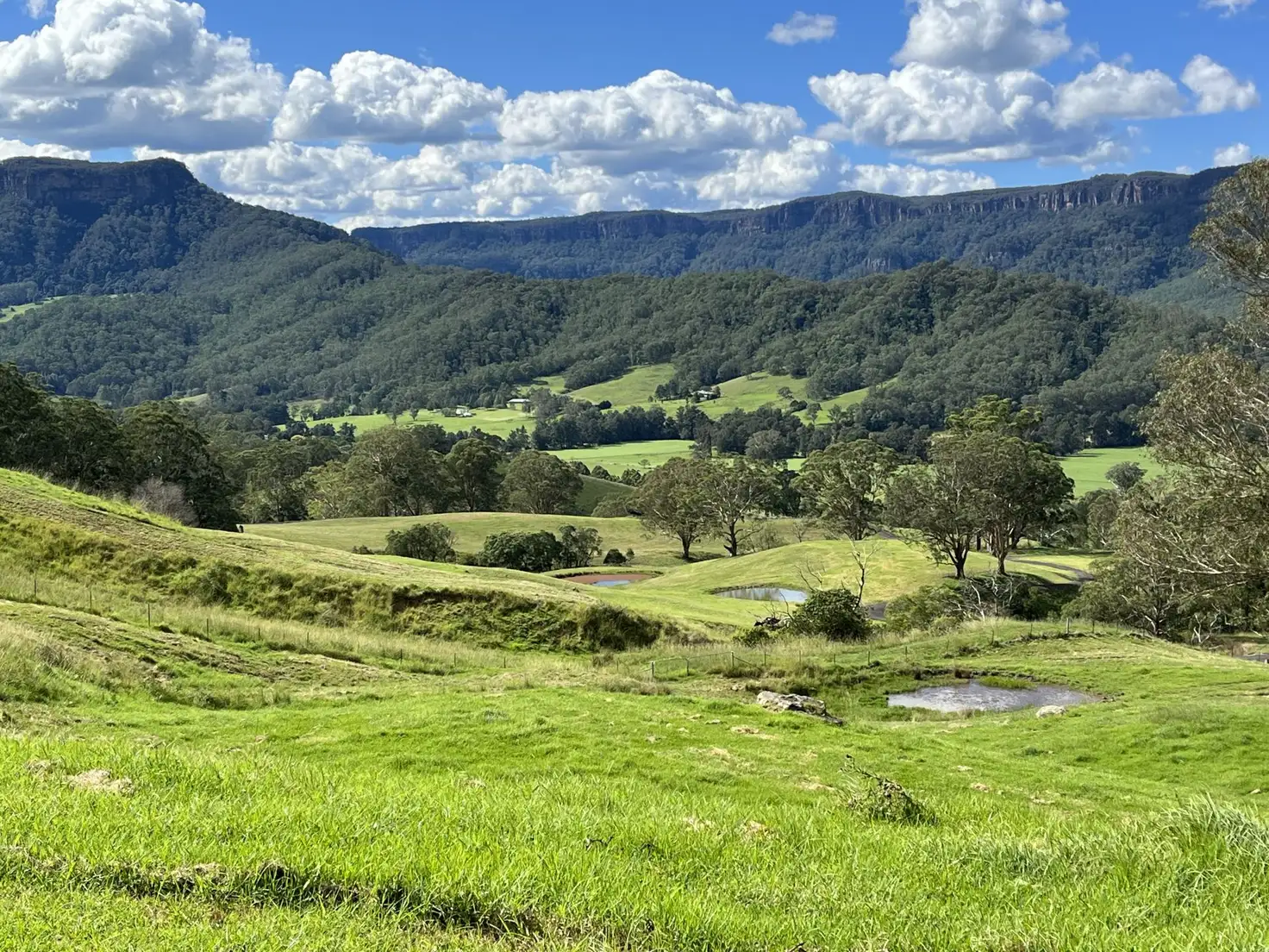 Main view of Homely rural property listing, 2319 Moss Vale Road, Kangaroo Valley NSW 2577