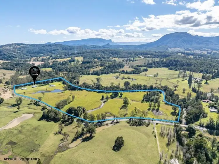 Second view of Homely rural property listing, 52 Stony Chute Road, Nimbin NSW 2480
