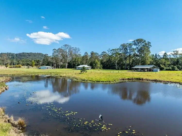 Fifth view of Homely rural property listing, 52 Stony Chute Road, Nimbin NSW 2480