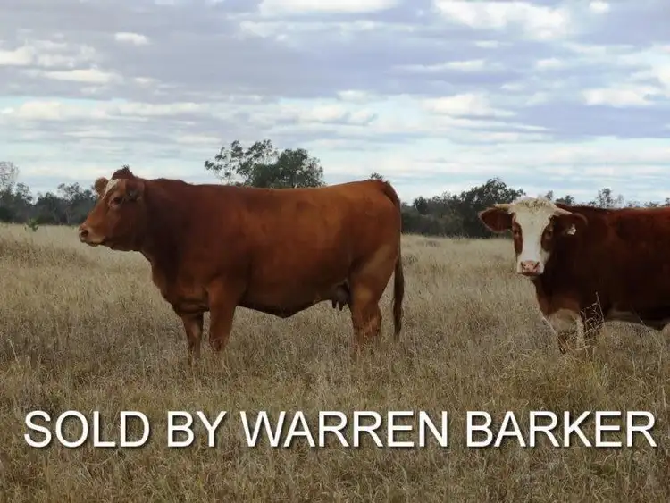 Second view of Homely rural property listing, Lot 66 Condamine Highway, Condamine QLD 4416