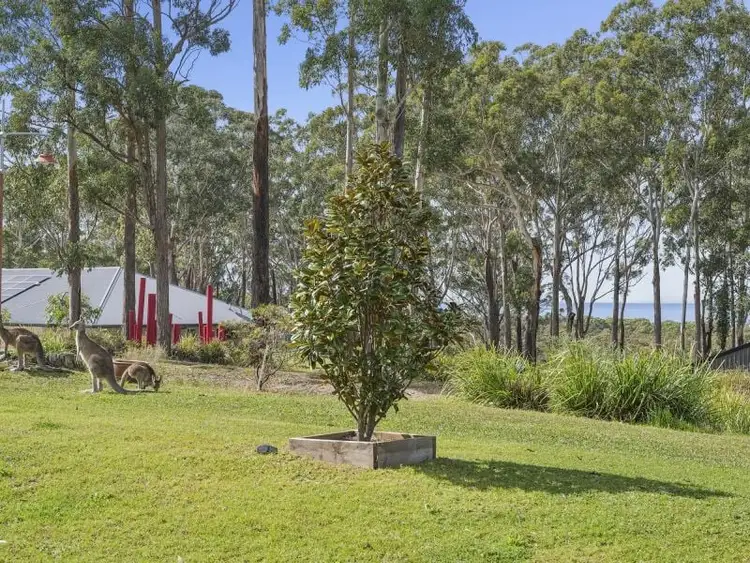 Second view of Homely rural property listing, 146 Pearl Circuit, Valla NSW 2448