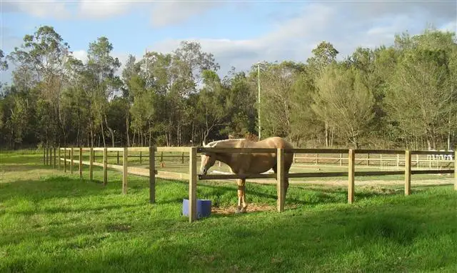 Fifth view of Homely rural property listing, 2 Breadsell Drive, Caboolture QLD 4510
