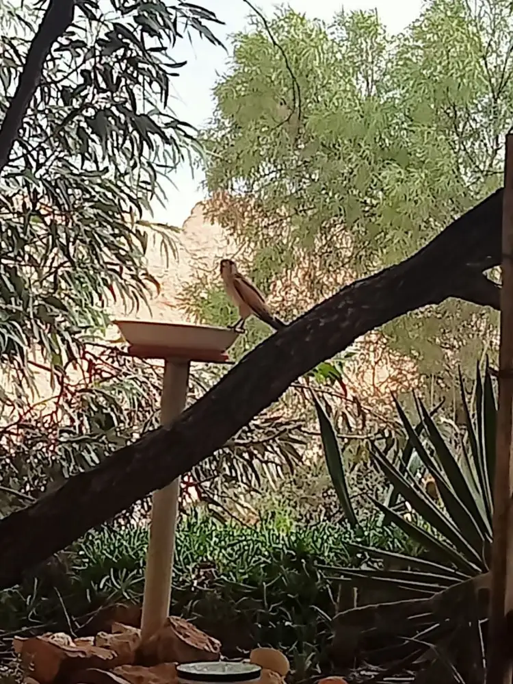 Third view of Homely house listing, 1686 Clarky Road, Coober Pedy SA 5723