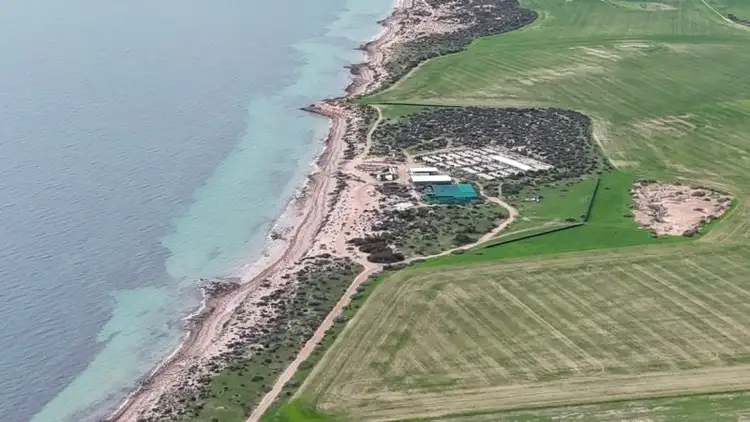 Sixth view of Homely house listing, 726 Little Islands Road, Streaky Bay SA 5680