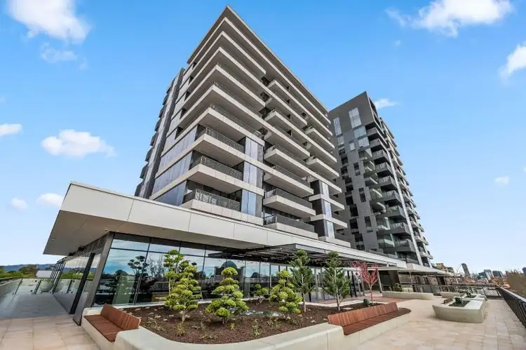 31 Centenary Street, North Adelaide SA 5006